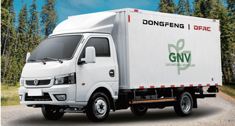 Vehiculo GNV